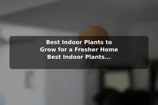 Best Indoor Plants to Grow for a Fresher Home Best Indoor Plants for Better Home Air Quality