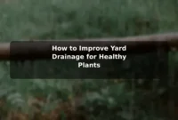 How to Improve Yard Drainage for Healthy Plants How to Improve Yard Drainage for Healthy Plants