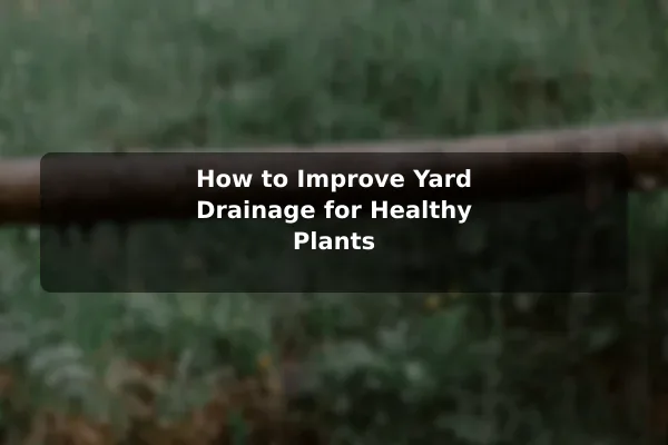How to Improve Yard Drainage for Healthy Plants