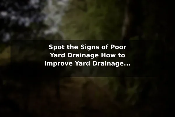 Spot the Signs of Poor Yard Drainage How to Improve Yard Drainage for Healthy Plants