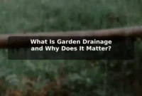 What Is Garden Drainage and Why Does It Matter? What Is Garden Drainage and Why Does It Matter?