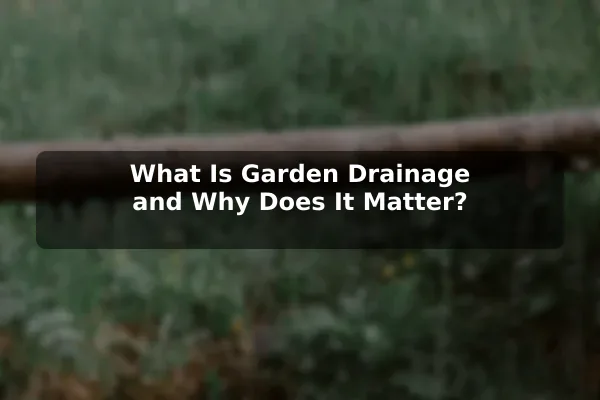 What Is Garden Drainage and Why Does It Matter?