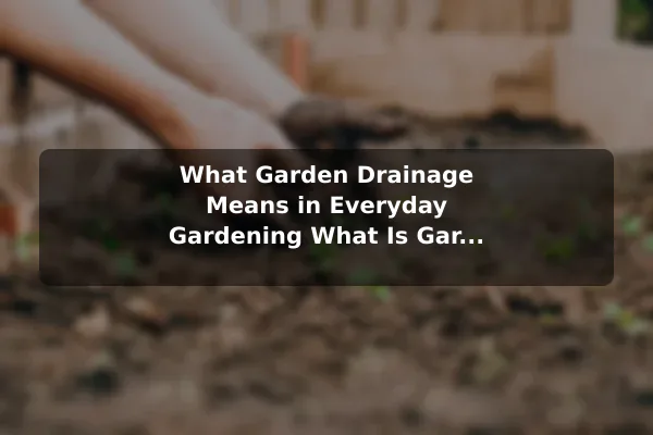 What Garden Drainage Means in Everyday Gardening What Is Garden Drainage and Why Does It Matter?