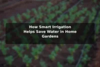How Smart Irrigation Helps Save Water in Home Gardens