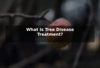 What Is Tree Disease Treatment?