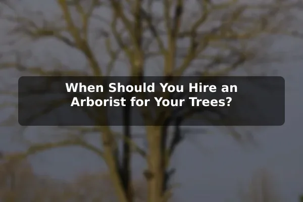When Should You Hire an Arborist for Your Trees?