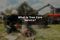 What Is Tree Care Service? What Is Tree Care Service?