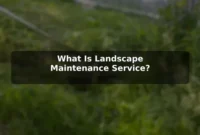 What Is Landscape Maintenance Service?