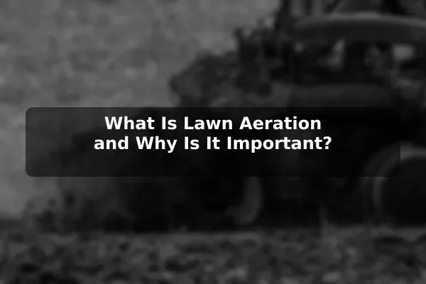 What Is Lawn Aeration and Why Is It Important?