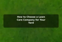 How to Choose a Lawn Care Company for Your Yard