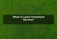 What Is Lawn Treatment Service? What Is Lawn Treatment Service?