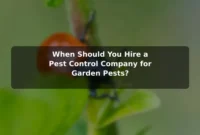 When Should You Hire a Pest Control Company for Garden Pests? When Should You Hire a Pest Control Company for Garden Pests?