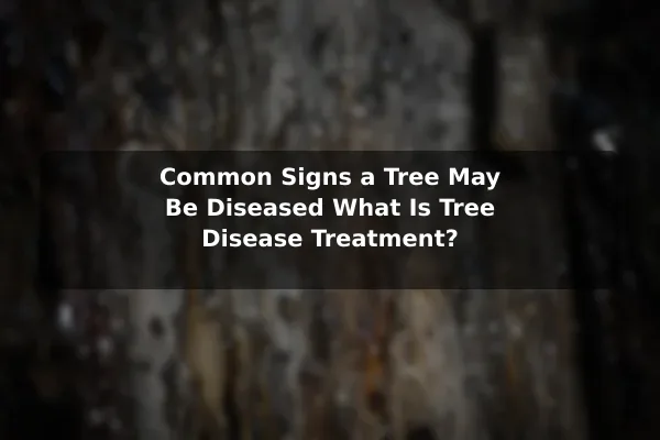 Common Signs a Tree May Be Diseased What Is Tree Disease Treatment?