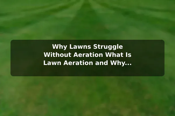 Why Lawns Struggle Without Aeration What Is Lawn Aeration and Why Is It Important?