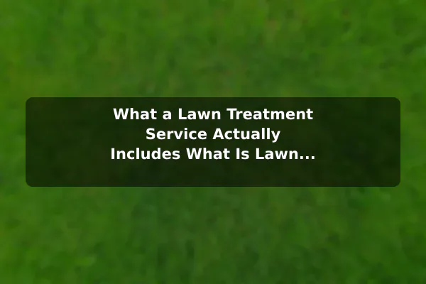 What a Lawn Treatment Service Actually Includes What Is Lawn Treatment Service?