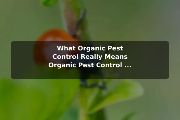 What Organic Pest Control Really Means Organic Pest Control vs Chemical Pest Control for Plants