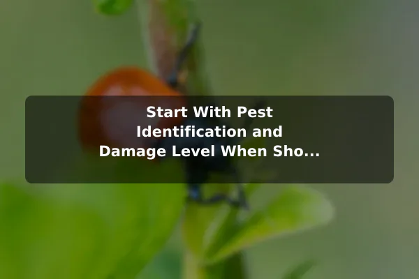 Start With Pest Identification and Damage Level When Should You Hire a Pest Control Company for Garden Pests?