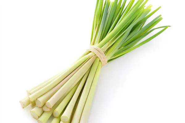 What Is Lemongrass?